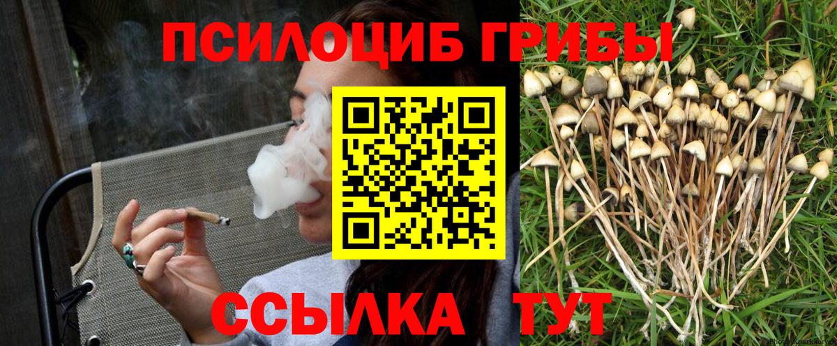 Галлюциногенные грибы мицелий  Вход с VPN  Хабаровск 