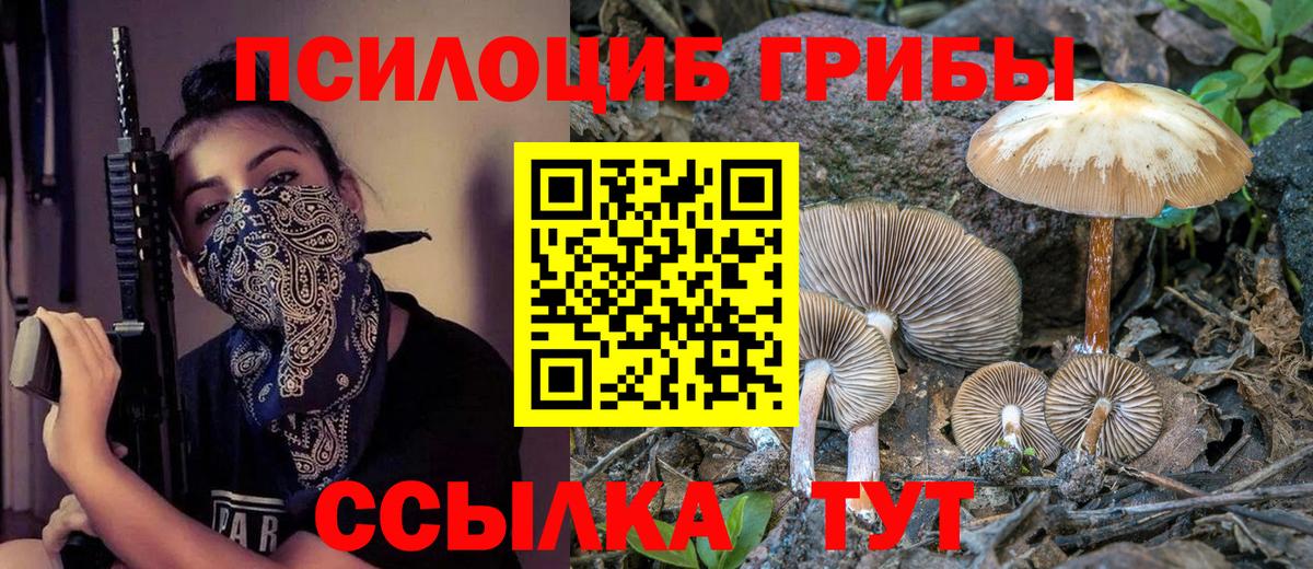 Галлюциногенные грибы Magic Shrooms Хабаровск
